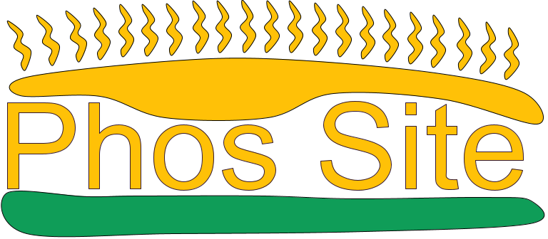 Phos Site Logo